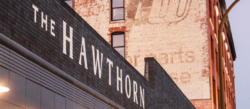 The Hawthorn